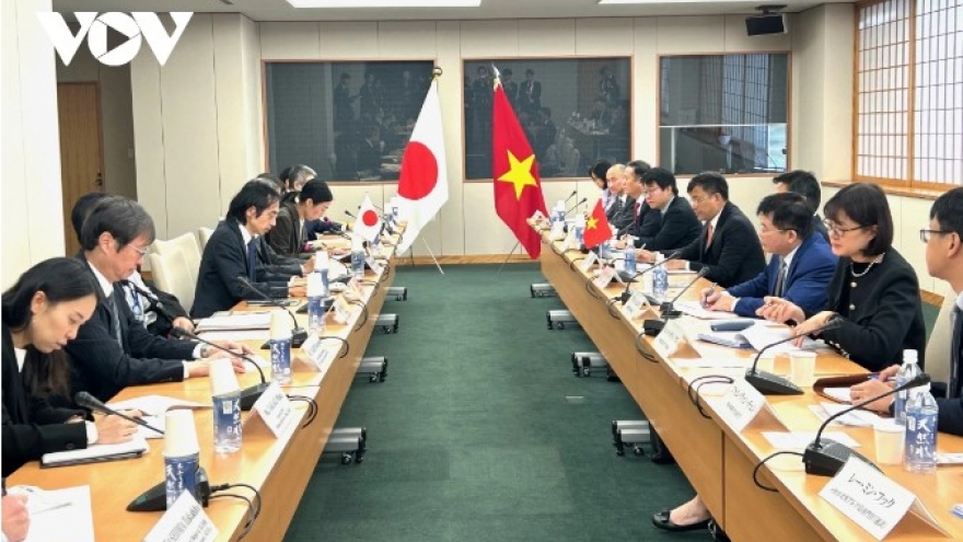 Vietnam, Japan convene eighth Strategic Partnership Dialogue